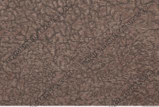 Photo Texture of Wallpaper 0075